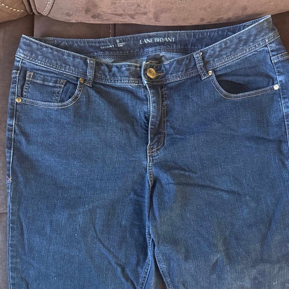 Lane Bryant Indigo Skinny Jeans
